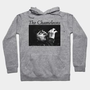 The Chameleons Band 1 Hoodie